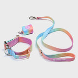 Conjunto de collar táctico para perros - Pastel Icing