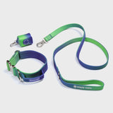 Conjunto de collar táctico para perros - Lime Wave