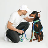 Arnés para perros Comfort Control No-Pull - Lime Wave