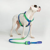 Arnés para perros Comfort Control No-Pull - Lime Wave