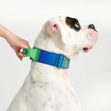 Collar táctico para perros - Lime Wave