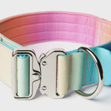 Collar táctico para perros - Glaseado Pastel