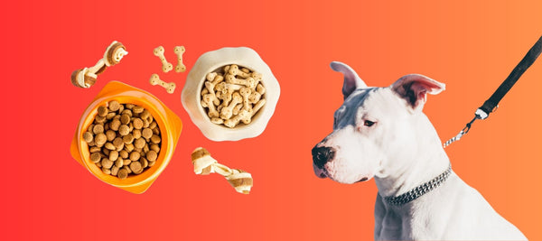 Best Treats for Pitbulls