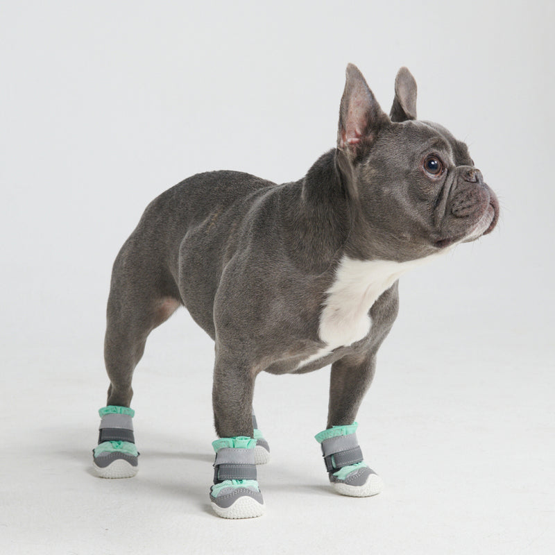 Zapatos para perros Hot Pavement Pawtector - Verde azulado