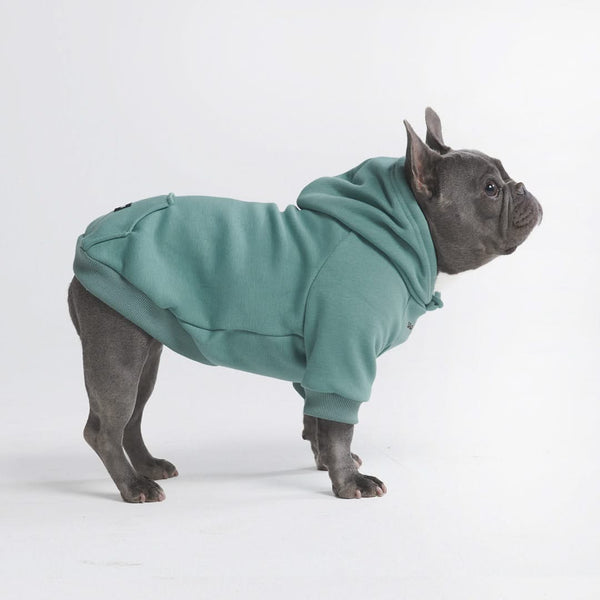 Sudadera Esencial para Perros - Verde Azulado