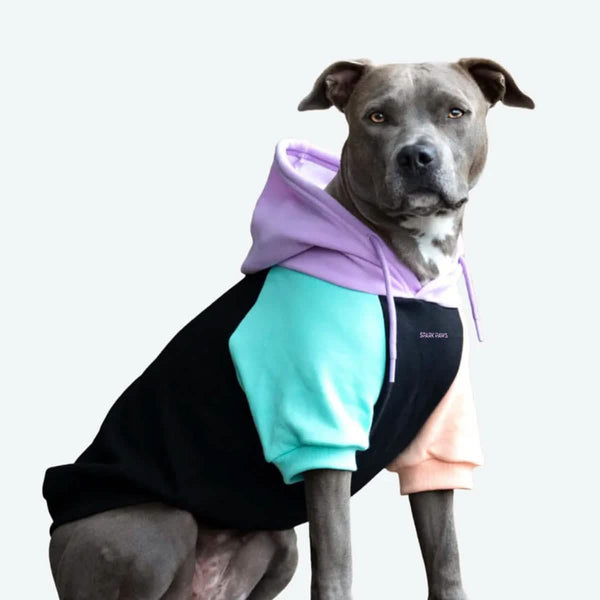 Sudadera para Perros - Ciberpunk