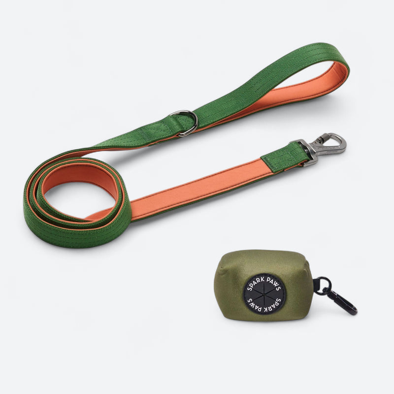 Set de correa y portabolsas para excrementos - Verde Naranja