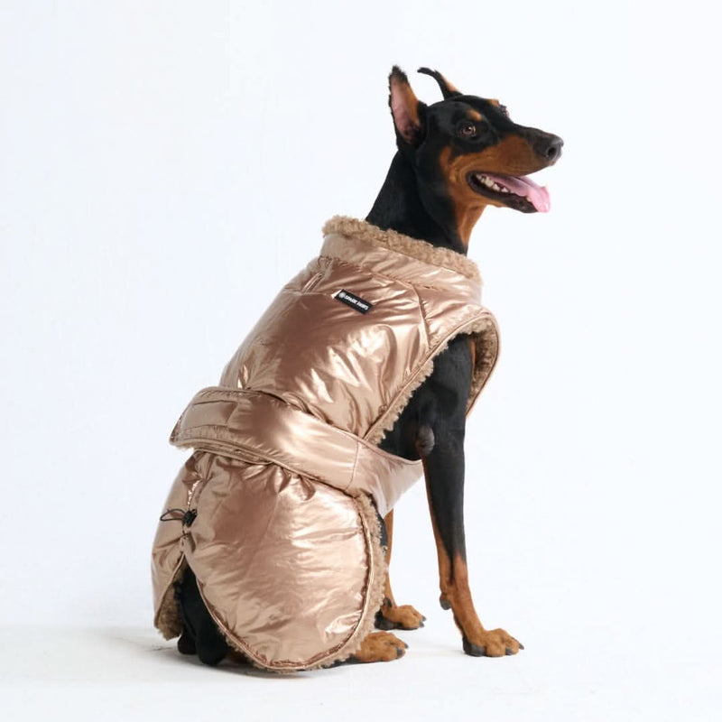 Chaqueta de invierno tipo slip-on - Oro Metálico