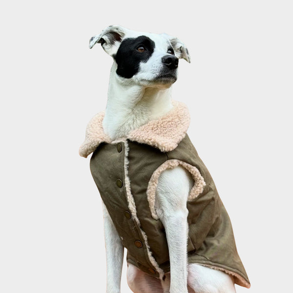 Chaqueta Aislante Todo Terreno - verde