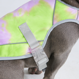 Chaleco refrescante para perros - Cono de nieve