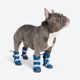 Botas para perros Flex Shell resistentes al agua - Camuflaje Azul