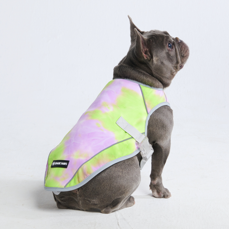 Chaleco refrescante para perros - Cono de nieve