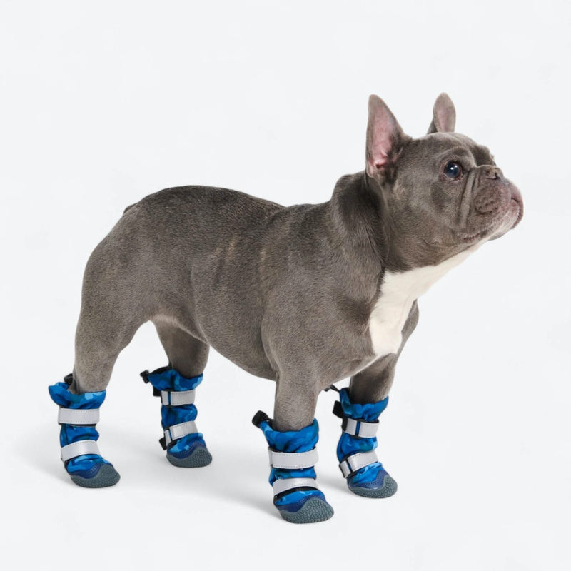 Botas para perros Flex Shell resistentes al agua