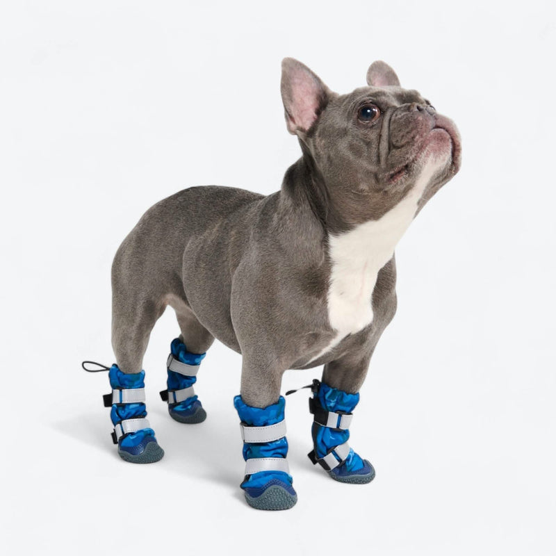 Botas para perros Flex Shell resistentes al agua