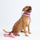 Pink Collar||size:C,D,E