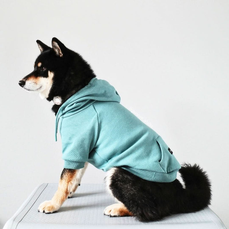 Sudadera Esencial para Perros - Verde Azulado