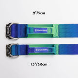 Conjunto de collar táctico para perros - Lime Wave