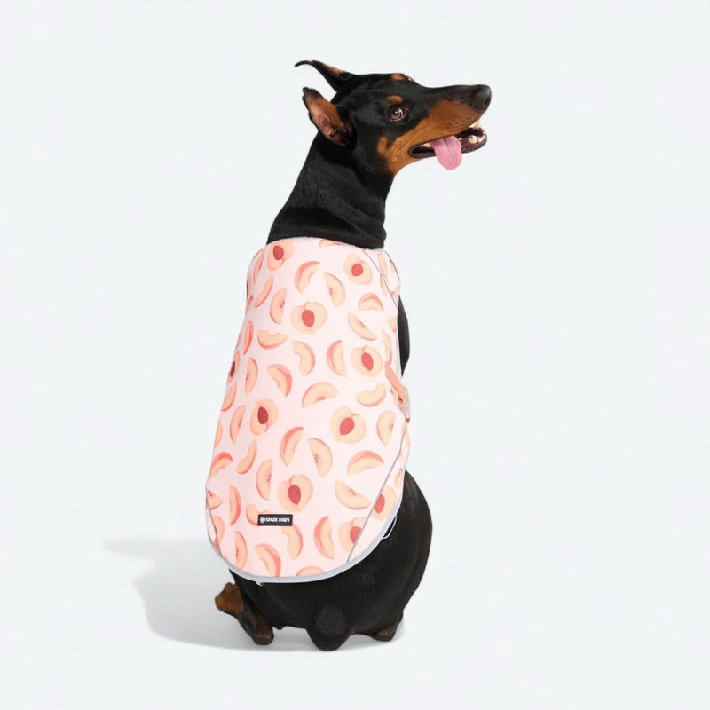 Chaleco refrigerante para perros - Duraznos