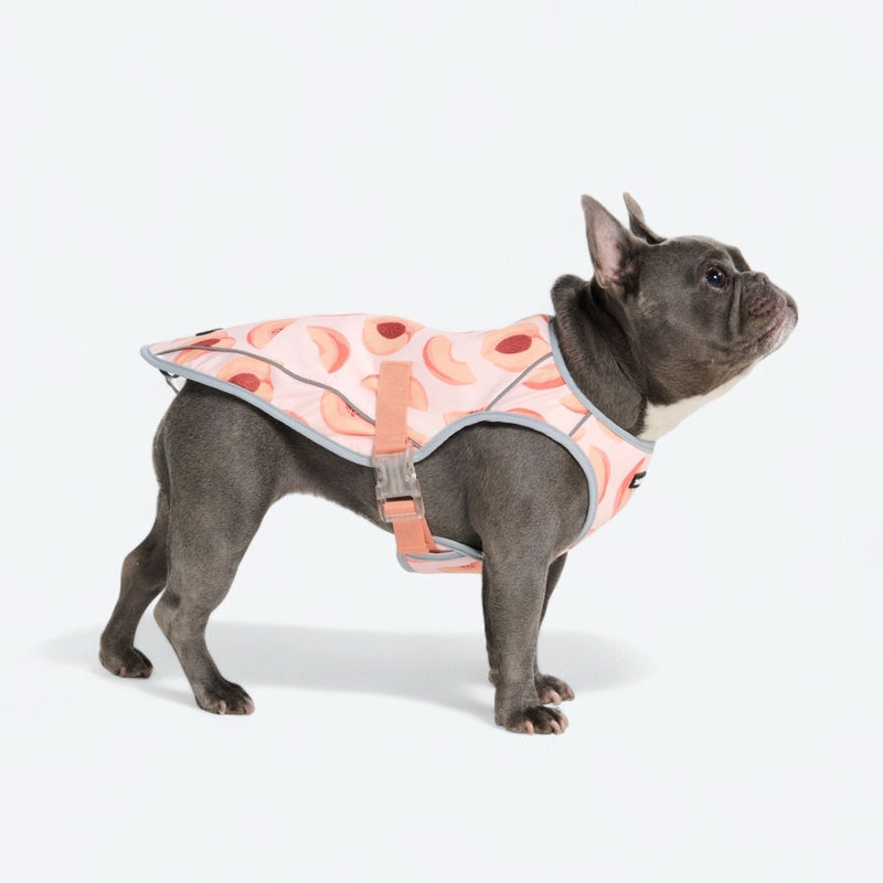 Chaleco refrigerante para perros - Duraznos