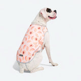 Chaleco refrigerante para perros - Duraznos
