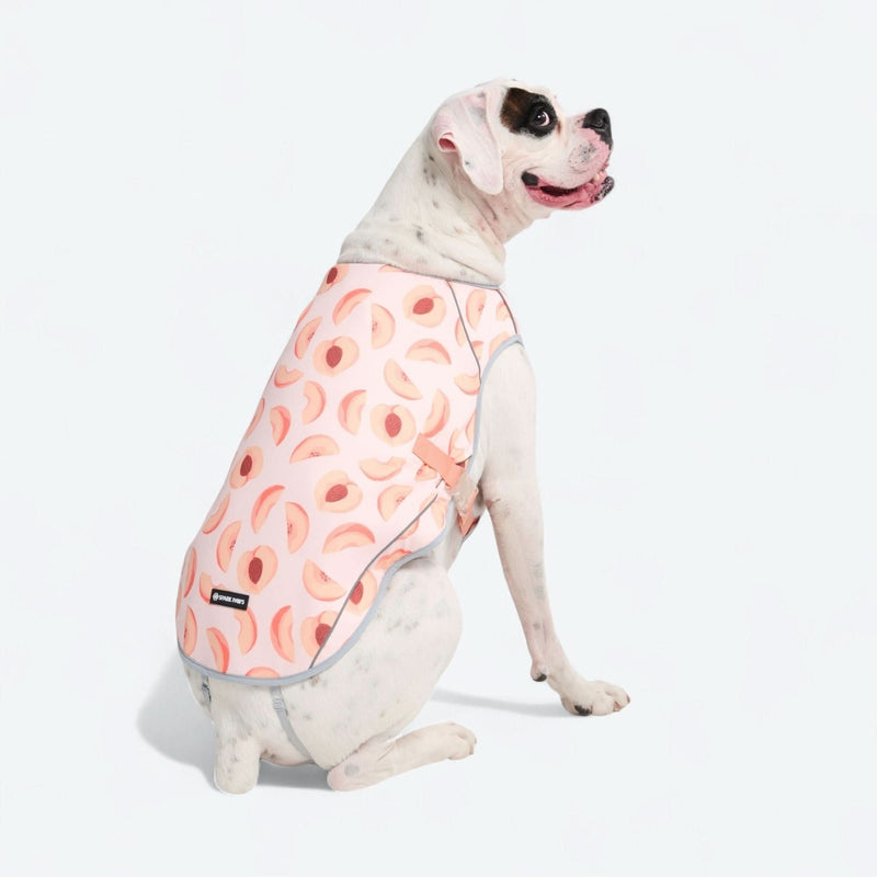 Chaleco refrigerante para perros - Duraznos