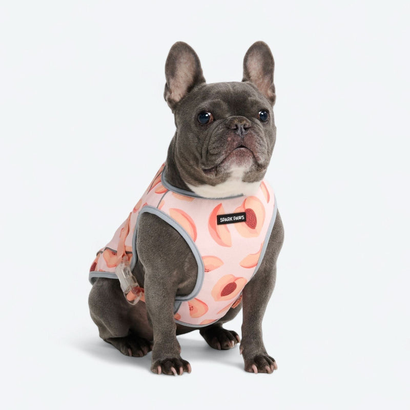 Chaleco refrigerante para perros - Duraznos