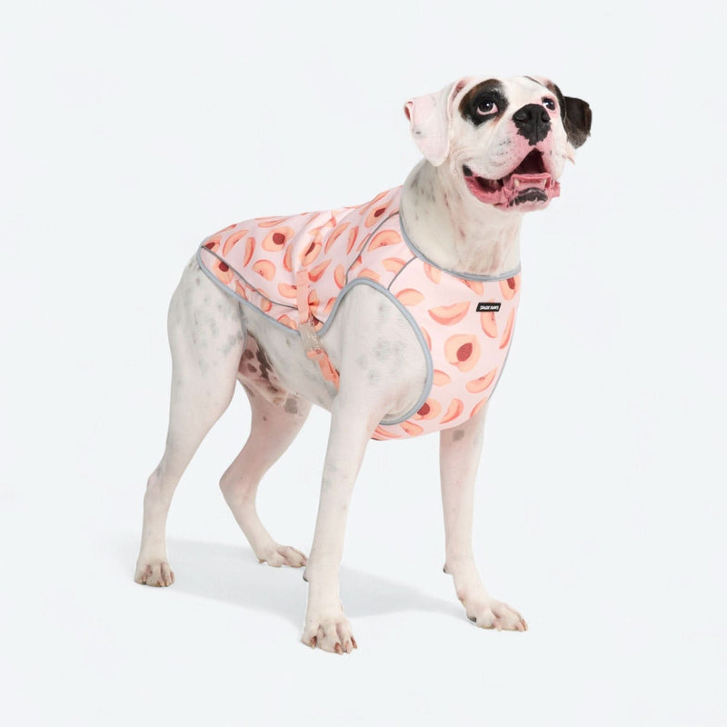 Chaleco refrigerante para perros - Duraznos