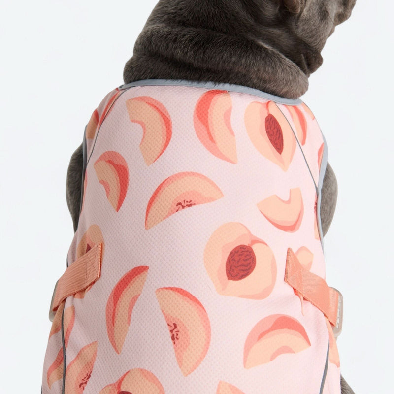 Chaleco refrigerante para perros - Duraznos