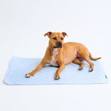 Hearts Blue||size:L,XL,2XL