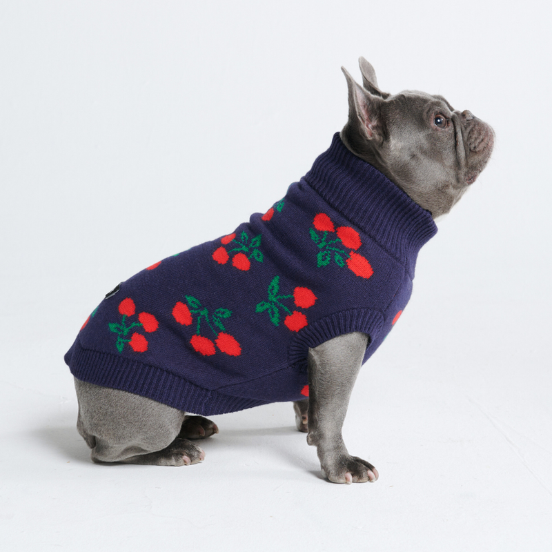 Suéter de punto para perro - Cerezas