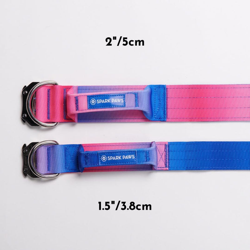 Conjunto de collar táctico para perros - Cono de nieve