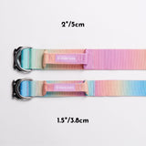 Conjunto de collar táctico para perros - Pastel Icing