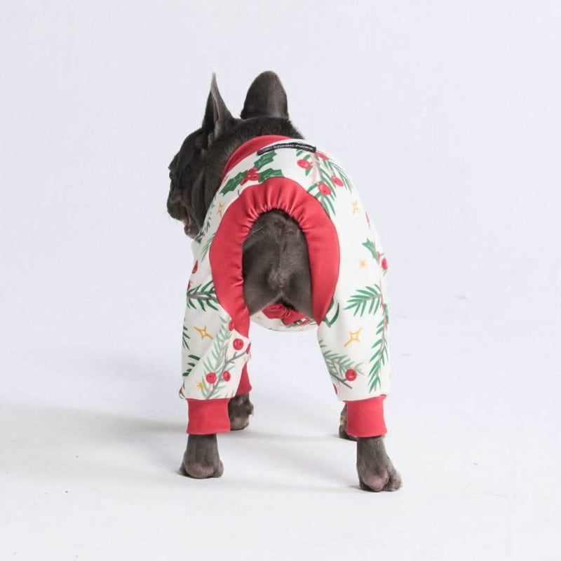 Pijama de Navidad para perro - Muérdago