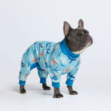 Pijama para perro - Aviones