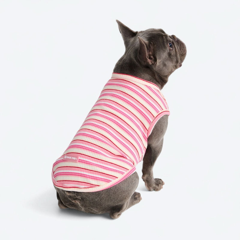 Camiseta a rayas - Rosa Rojo
