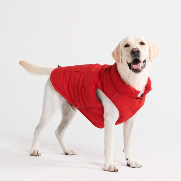 Chaqueta impermeable WarmShield™ - Rojo