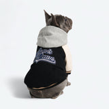 Chaqueta universitaria para perros - Negra