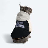 Black Varsity Jacket