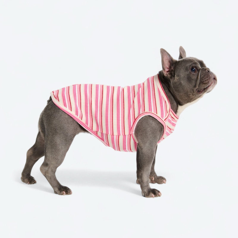 Camiseta a rayas - Rosa Rojo