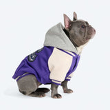 Purple Varsity Jacket