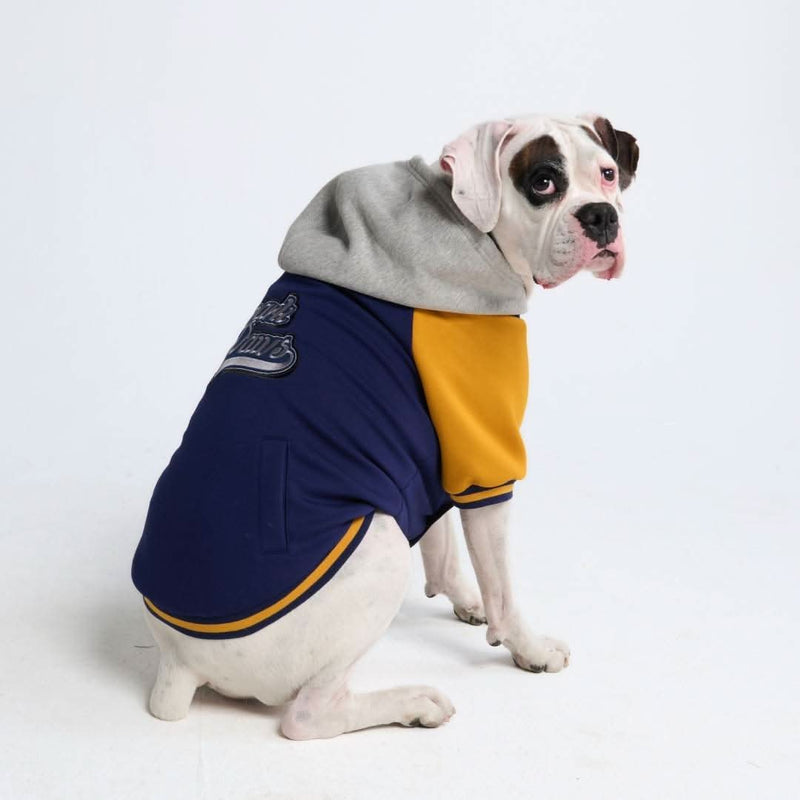 Chaqueta universitaria para perros - Azul y amarillo