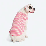 Camiseta a rayas - Rosa Rojo