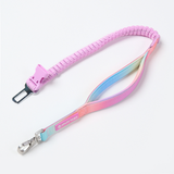 Pastel Icing Neoprene Leash
