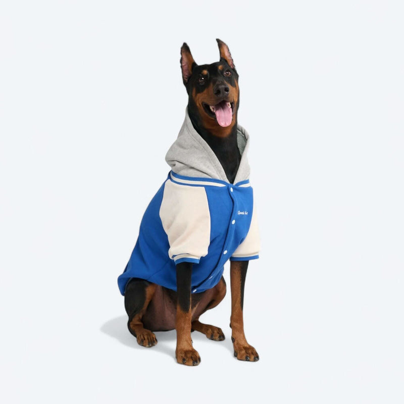 Blue Varsity Jacket
