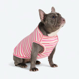 Camiseta a rayas - Rosa Rojo