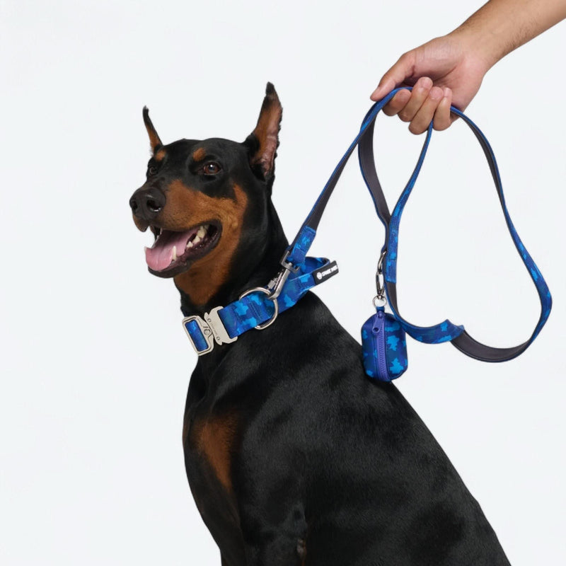 Set de collar de control cómodo - Camuflaje Azul