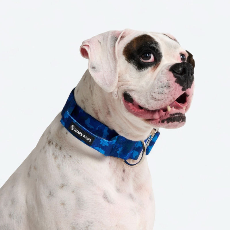 Set de collar de control cómodo - Camuflaje Azul
