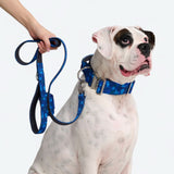 Set de collar de control cómodo - Camuflaje Azul