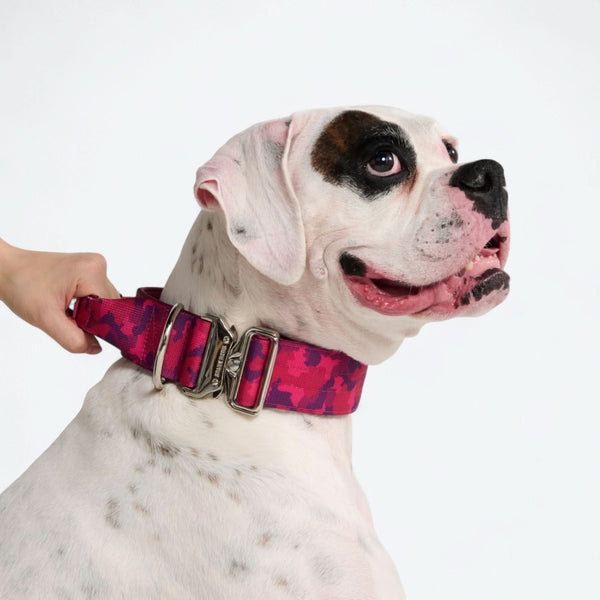 Collar de control cómodo - Camuflaje Fucsia