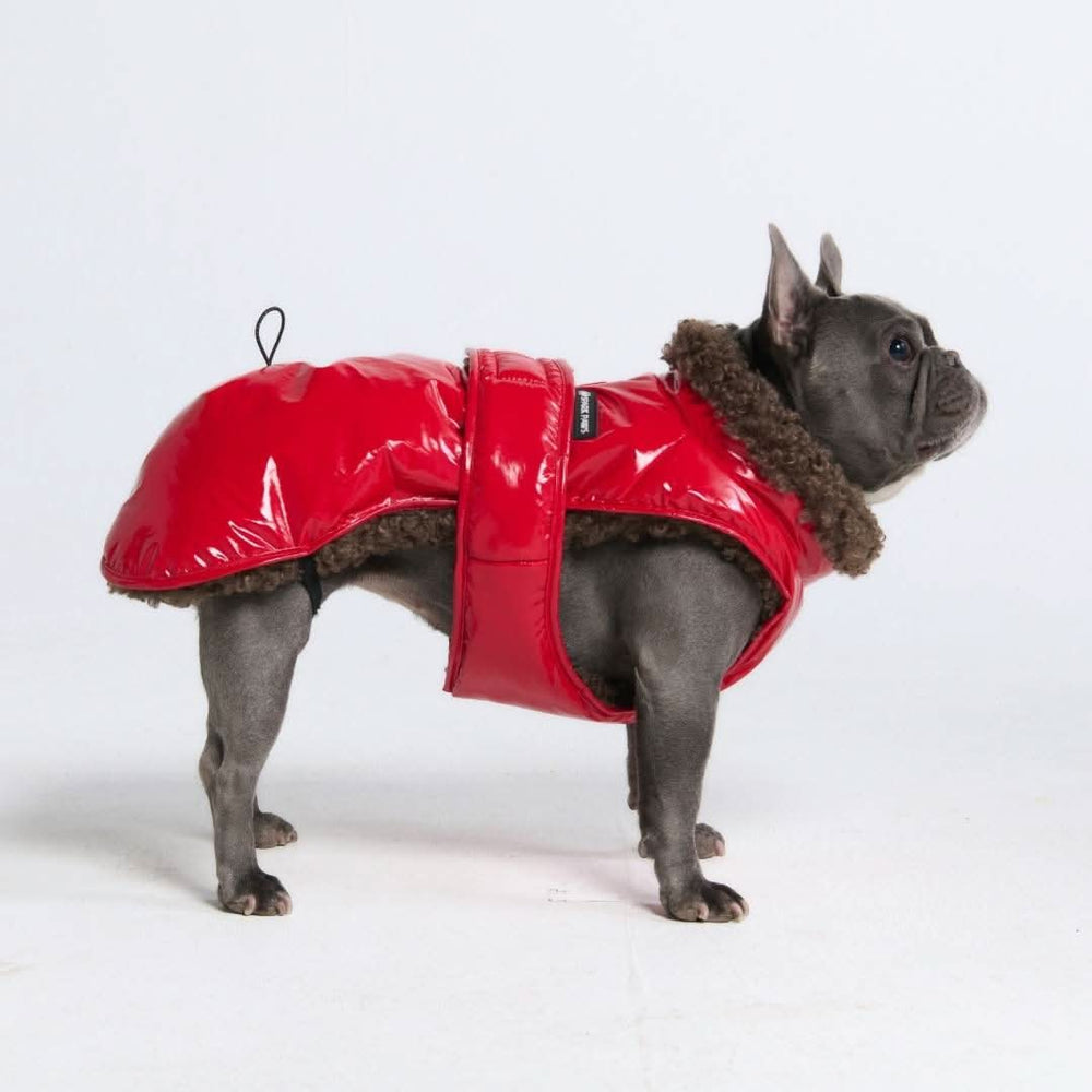 Ropa De Invierno Para Perros Medianos Y Pequeños, ... - Vicedeal